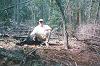 Starr Guide Service Bear 013.jpg