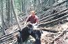 Starr Guide Service Bear 014.jpg