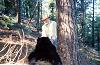Starr Guide Service Bear 015.jpg