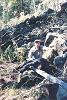 Starr Guide Service Bear 018.jpg