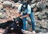 Starr Guide Service Bear 019.jpg